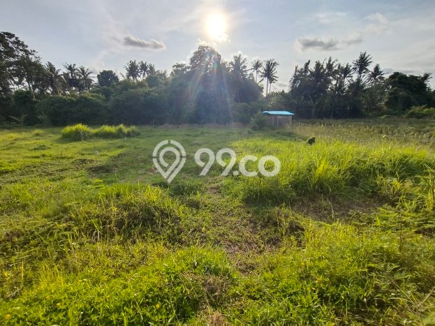 Tanah Kosong Dijual di Gianyar dengan Area 200m2 Tanah Kosong Dijual di Gianyar dengan Area 200m2