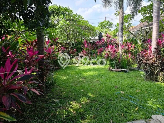 Jual Rumah Minimalis Bagus Punya 4 KT di Gianyar Gianyar SHM Jual Rumah Minimalis Bagus Punya 4 KT di Gianyar Gianyar SHM