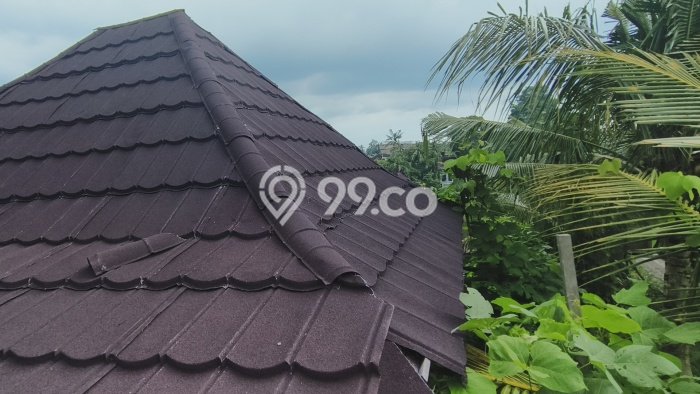 Tanah Kavling Dijual di Gianyar dengan Spesifikasi 900m2 Tanah Kavling Dijual di Gianyar dengan Spesifikasi 900m2