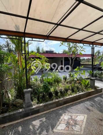 Rumah Luas Asri 2 KT Siap Huni di Saba Gianyar Rumah Luas Asri 2 KT Siap Huni di Saba Gianyar