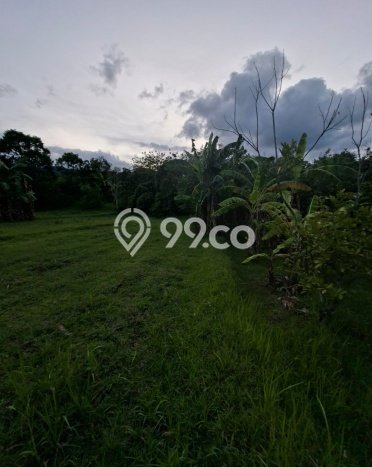 Tanah Komersial Dijual di Seririt Buleleng 20019m2 Tanah Komersial Dijual di Seririt Buleleng 20019m2