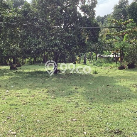 Kavling Tanah Dijual di Buleleng, Buleleng, Luas 26200m2 Area Strategis Kavling Tanah Dijual di Buleleng, Buleleng, Luas 26200m2 Area Strategis