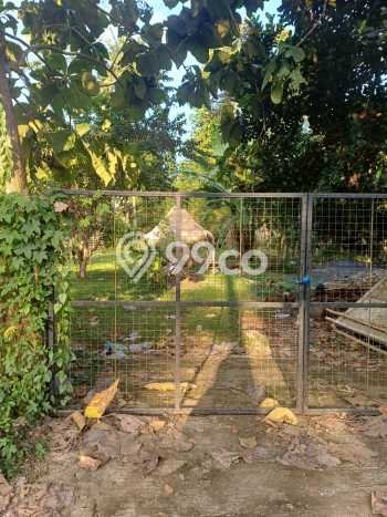 Tanah Disewakan Lokasi Badung Seluas 1005m2 Strategis dan Aman Tanah Disewakan Lokasi Badung Seluas 1005m2 Strategis dan Aman