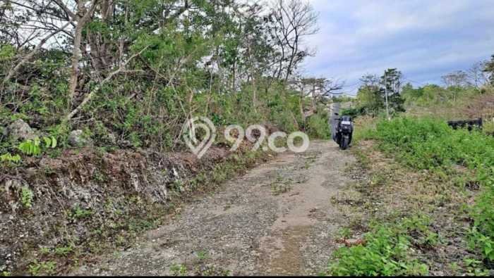 Tanah Kawasan Nusa Dua, Luas 2100m2m², Area Strategis, Disewakan Tanah Kawasan Nusa Dua, Luas 2100m2m², Area Strategis, Disewakan