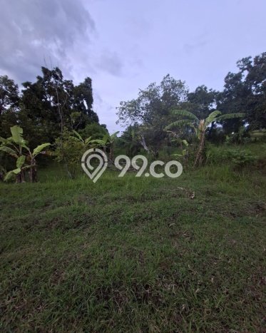 Tanah Komersial Dijual di Seririt Buleleng 20019m2 Tanah Komersial Dijual di Seririt Buleleng 20019m2