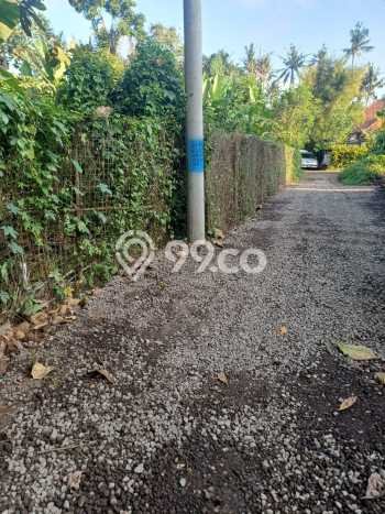Tanah Disewakan Lokasi Badung Seluas 1005m2 Strategis dan Aman Tanah Disewakan Lokasi Badung Seluas 1005m2 Strategis dan Aman