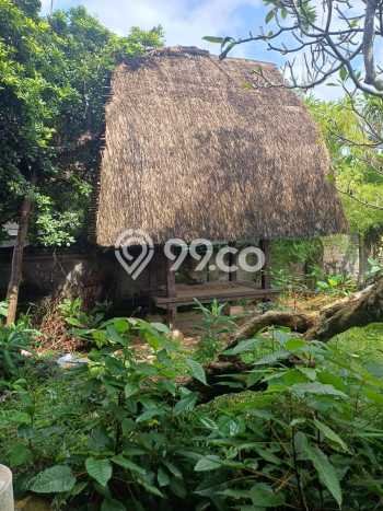 Tanah Disewakan Lokasi Badung Seluas 1900m2 Strategis dan Aman Tanah Disewakan Lokasi Badung Seluas 1900m2 Strategis dan Aman