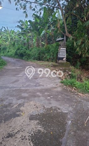 Tanah Komersial Dijual di Seririt Buleleng 20019m2 Tanah Komersial Dijual di Seririt Buleleng 20019m2