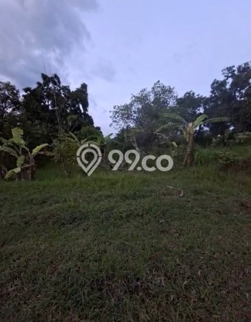 Tanah Komersial Dijual di Seririt Buleleng 20019m2 Tanah Komersial Dijual di Seririt Buleleng 20019m2
