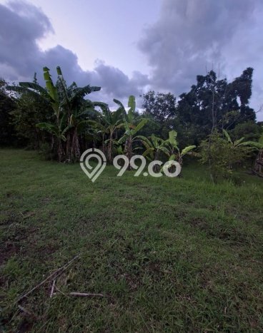 Tanah Komersial Dijual di Seririt Buleleng 20019m2 Tanah Komersial Dijual di Seririt Buleleng 20019m2