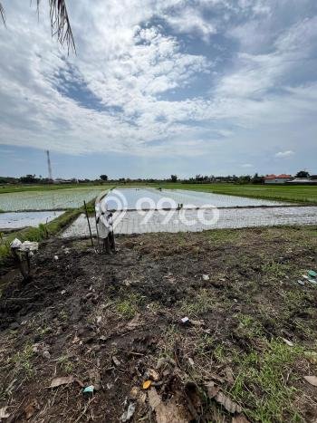 Dijual Tanah Lokasi Kaba kaba, Tabanan Seluas 4850m2 Dijual Tanah Lokasi Kaba kaba, Tabanan Seluas 4850m2