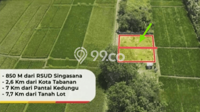 Tanah untuk Dijual di Kediri Tabanan Luas 146m2 Tanah untuk Dijual di Kediri Tabanan Luas 146m2