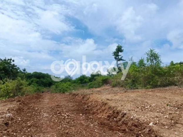 Tanah Dijual Lokasi Kuta Selatan, Badung dengan Luas Tanah 8160m2 dan Status SHM Tanah Dijual Lokasi Kuta Selatan, Badung dengan Luas Tanah 8160m2 dan Status SHM