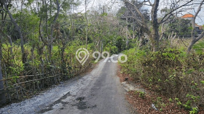 Kavling Tanah Dijual di Kuta Selatan Badung Spesifikasi 16441m2 Kavling Tanah Dijual di Kuta Selatan Badung Spesifikasi 16441m2