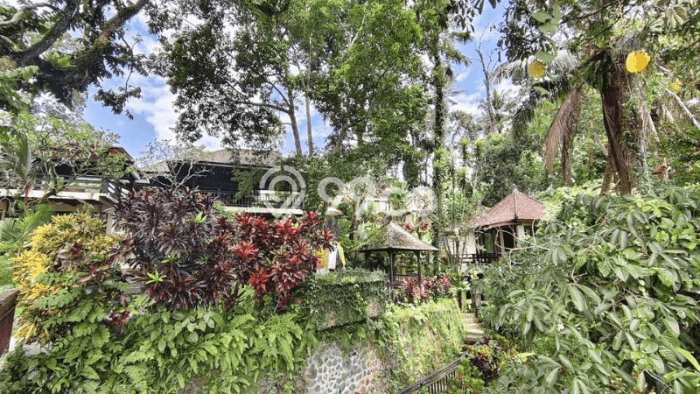 Lahan untuk Dijual Lokasi Ubud, Gianyar Luas 15400m2 SHM Lahan untuk Dijual Lokasi Ubud, Gianyar Luas 15400m2 SHM