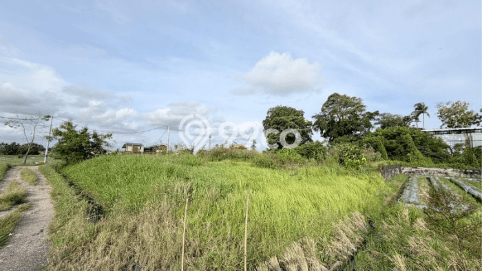 Tanah Kavling untuk Disewa di Mengwi Badung 16485m2 Tanah Kavling untuk Disewa di Mengwi Badung 16485m2