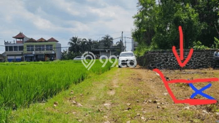 Tanah untuk Dijual di Kediri Tabanan Luas 146m2 Tanah untuk Dijual di Kediri Tabanan Luas 146m2