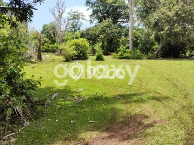 Lahan Kosong Dijual di Kuta Selatan, Badung, Luas 1888m2 Area Strategis Lahan Kosong Dijual di Kuta Selatan, Badung, Luas 1888m2 Area Strategis