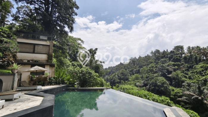 Lahan untuk Dijual Lokasi Ubud, Gianyar Luas 15400m2 SHM Lahan untuk Dijual Lokasi Ubud, Gianyar Luas 15400m2 SHM