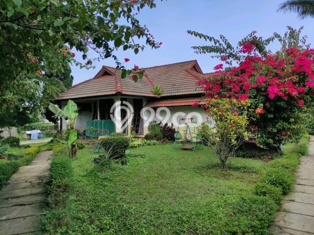 Dijual Rumah Premium dengan Fasilitas Sekitar Lengkap di Parongpong, Bandung Barat Dijual Rumah Premium dengan Fasilitas Sekitar Lengkap di Parongpong, Bandung Barat