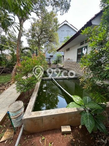 Hunian Elit LB 394m2 Siap Pakai Desain Elegan di Jatingaleh, Semarang Hunian Elit LB 394m2 Siap Pakai Desain Elegan di Jatingaleh, Semarang