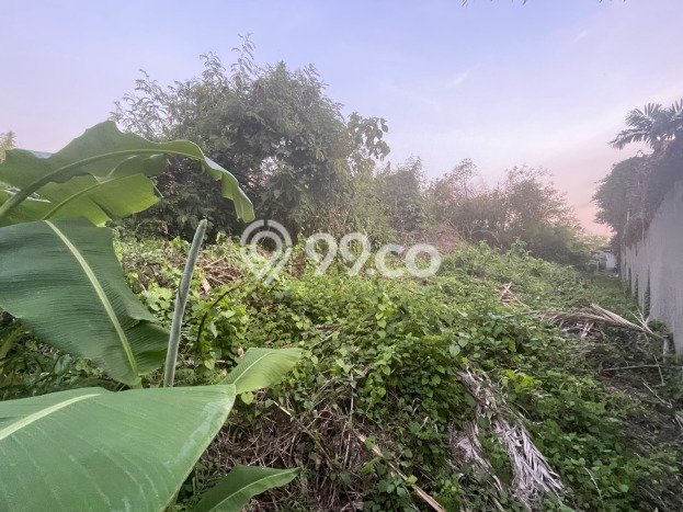Dijual Tanah 5000m2 di Petitenget, Badung Dijual Tanah 5000m2 di Petitenget, Badung