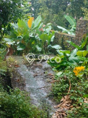 Tanah Dijual Area Strategis di Singaraja Buleleng 2000m2 Tanah Dijual Area Strategis di Singaraja Buleleng 2000m2