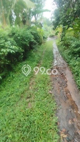 Tanah Dijual Area Strategis di Singaraja Buleleng 2000m2 Tanah Dijual Area Strategis di Singaraja Buleleng 2000m2