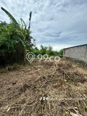 Tanah Dijual di Tabanan Seluas 110m2 Strategis Tanah Dijual di Tabanan Seluas 110m2 Strategis
