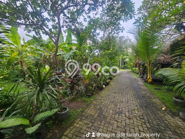 Dijual Tanah Lokasi Dalung, Badung Seluas 320m2 Dijual Tanah Lokasi Dalung, Badung Seluas 320m2