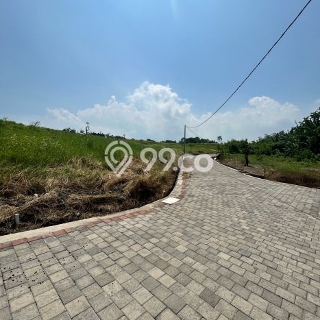 Tanah Investasi Dijual di Tabanan Punya Luas 175m2 Tanah Investasi Dijual di Tabanan Punya Luas 175m2