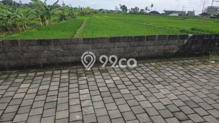 Dijual Tanah Lokasi Kedungu, Tabanan Seluas 452m2 Dijual Tanah Lokasi Kedungu, Tabanan Seluas 452m2