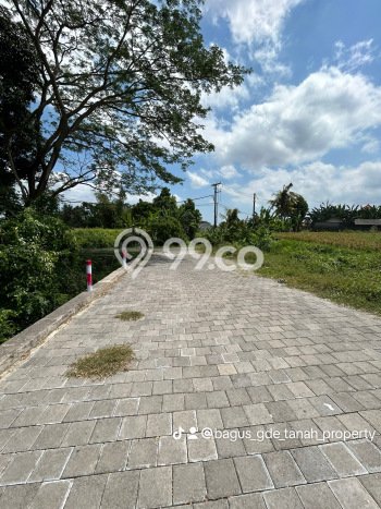 Tanah Area Prospektif Kawasan Kaba kaba, Luas 300m², Dekat ke Fasilitas Umum Tanah Area Prospektif Kawasan Kaba kaba, Luas 300m², Dekat ke Fasilitas Umum