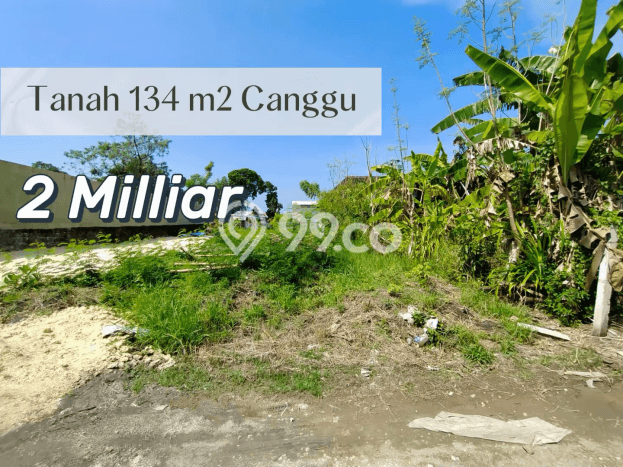 Dijual Tanah Lokasi Canggu, Badung Seluas 134m2 Dijual Tanah Lokasi Canggu, Badung Seluas 134m2