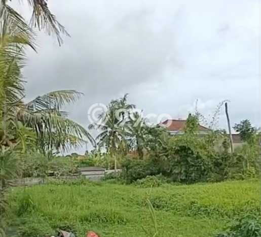 Tanah Dijual di Tabanan Seluas 1100m2 Strategis Tanah Dijual di Tabanan Seluas 1100m2 Strategis