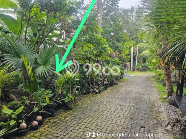 Dijual Tanah Lokasi Dalung, Badung Seluas 320m2 Dijual Tanah Lokasi Dalung, Badung Seluas 320m2