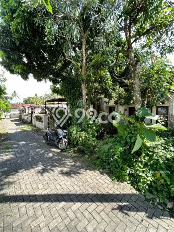 Rumah Modern LB/LT 45m2/96m2 Dijual di Beraban, Tabanan Rumah Modern LB/LT 45m2/96m2 Dijual di Beraban, Tabanan