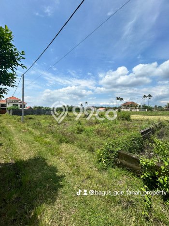 Dijual Tanah di Tabanan, Luas 200m2 SHM Dijual Tanah di Tabanan, Luas 200m2 SHM