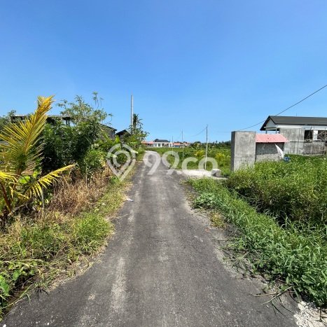 Untuk Dijual Tanah di Tabanan, Luas 200m2 SHM Untuk Dijual Tanah di Tabanan, Luas 200m2 SHM