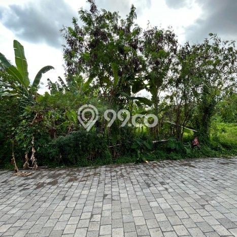 Dijual Tanah di Tabanan, Luas 127m2 SHM Dijual Tanah di Tabanan, Luas 127m2 SHM
