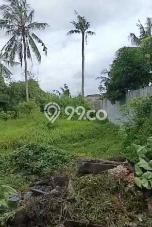 Tanah Dijual di Tabanan Seluas 1100m2 Strategis Tanah Dijual di Tabanan Seluas 1100m2 Strategis