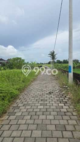 Dijual Tanah Lokasi Kedungu, Tabanan Seluas 452m2 Dijual Tanah Lokasi Kedungu, Tabanan Seluas 452m2