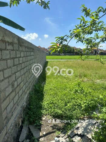 Tanah Kawasan Bisnis di Denpasar Barat, Luas 215m2m², Cocok untuk Pengembangan Tanah Kawasan Bisnis di Denpasar Barat, Luas 215m2m², Cocok untuk Pengembangan
