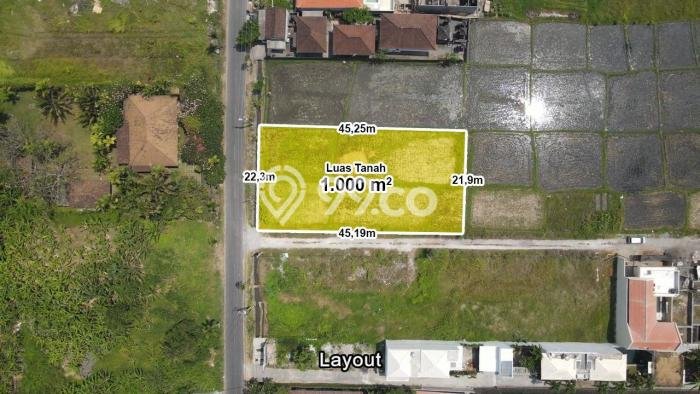 Tanah Siap Bangun Dijual di Badung Punya Luas 1000m2 Tanah Siap Bangun Dijual di Badung Punya Luas 1000m2