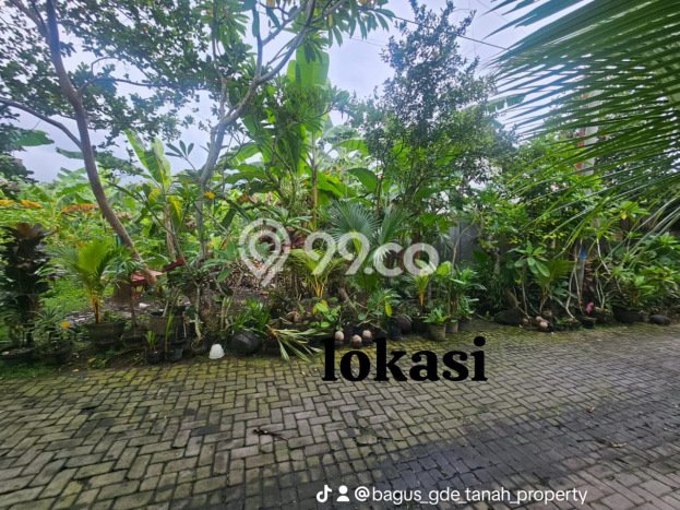 Dijual Tanah Lokasi Dalung, Badung Seluas 320m2 Dijual Tanah Lokasi Dalung, Badung Seluas 320m2