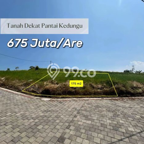 Tanah Investasi Dijual di Tabanan Punya Luas 175m2 Tanah Investasi Dijual di Tabanan Punya Luas 175m2