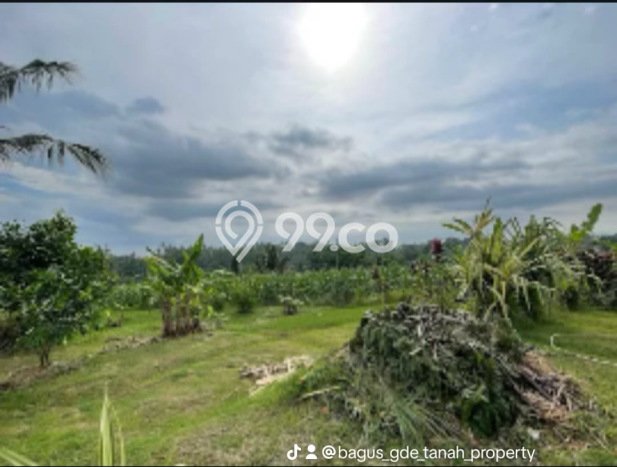 Tanah di , Luas 3000m2m², Lokasi Potensial, Kawasan Nyaman Tanah di , Luas 3000m2m², Lokasi Potensial, Kawasan Nyaman