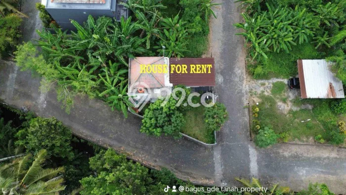 Sewa Rumah Murah di Pandakgede Tabanan Punya 2 KT Sewa Rumah Murah di Pandakgede Tabanan Punya 2 KT