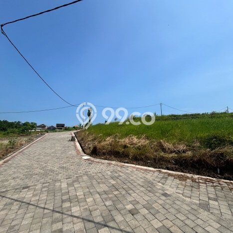 Tanah Investasi Dijual di Tabanan Punya Luas 175m2 Tanah Investasi Dijual di Tabanan Punya Luas 175m2