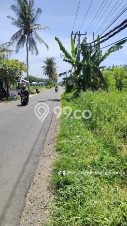 Tanah Area Potensial Kawasan , Luas 6600m2m², Lingkungan Nyaman, Dekat Tabanan, Tabanan Tanah Area Potensial Kawasan , Luas 6600m2m², Lingkungan Nyaman, Dekat Tabanan, Tabanan